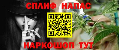 Альфа ПВП Ставрополь