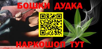 МДПВ Сланцы