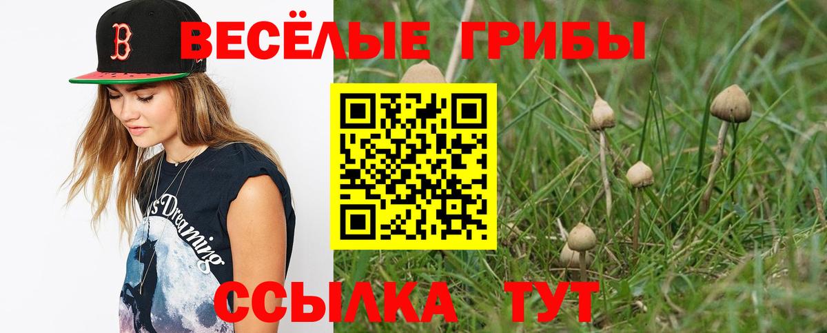 Псилоцибиновые грибы мицелий Светлоград